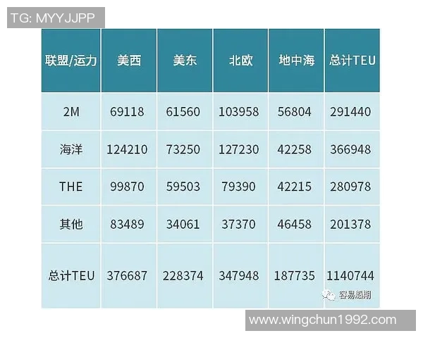 独家分析：南京排球队的比赛经验对比
