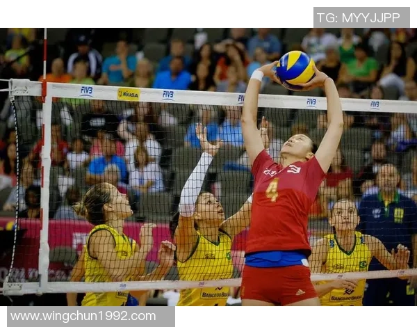 王娜专访：回顾排球历程